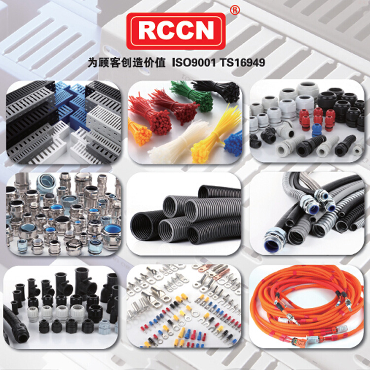 RCCN日成产品海报