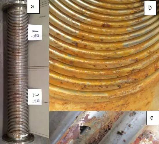 金属软管腐蚀分析