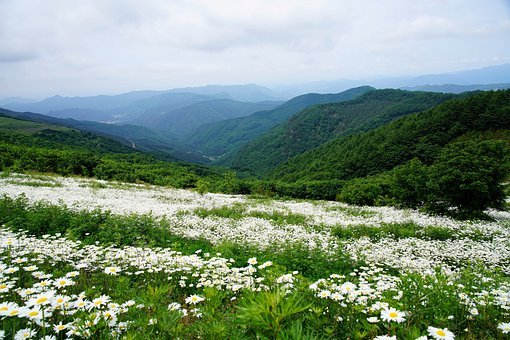 青海新能源日均发电量首超1亿千瓦时